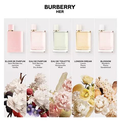 perfumes like burberry her|burberry her blossom dupe.